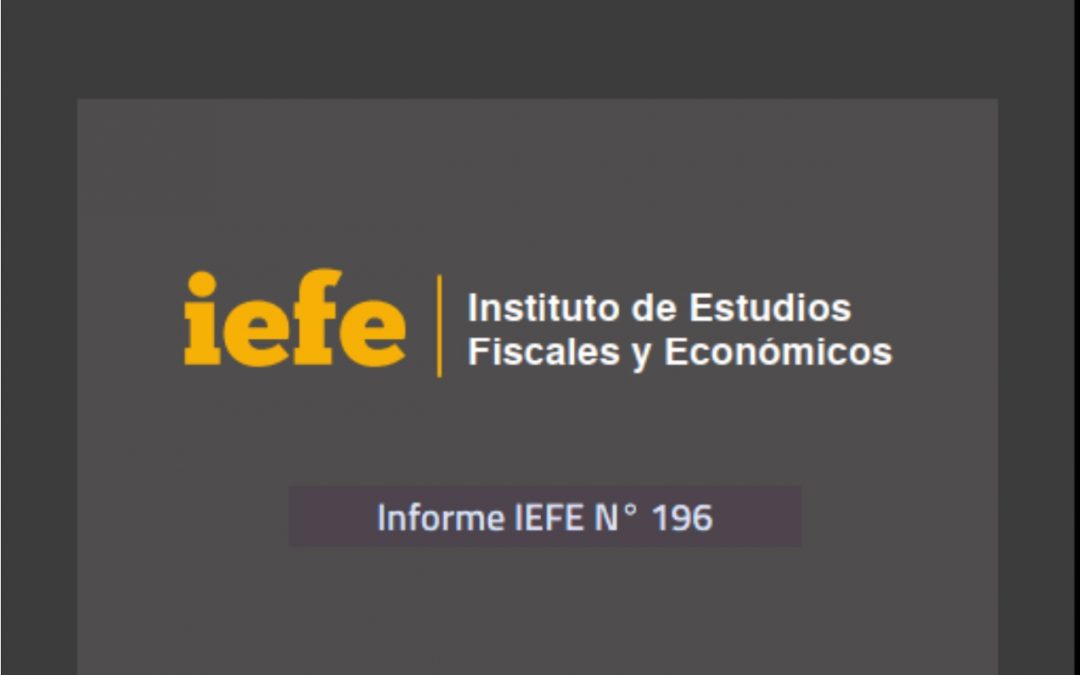 Informe IEFE n° 196.